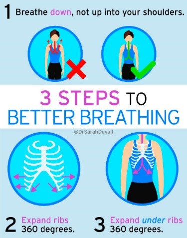 Take a Deep Breath: Connecting Pelvic Floor and Diaphragm - Limitless